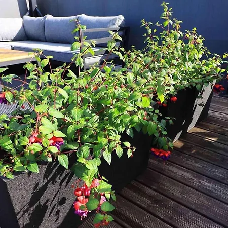 Tiiru Seaview With 50m2 Roof Terrace Pärnu